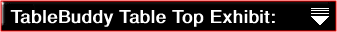 TableBuddy Table Top Exhibit: